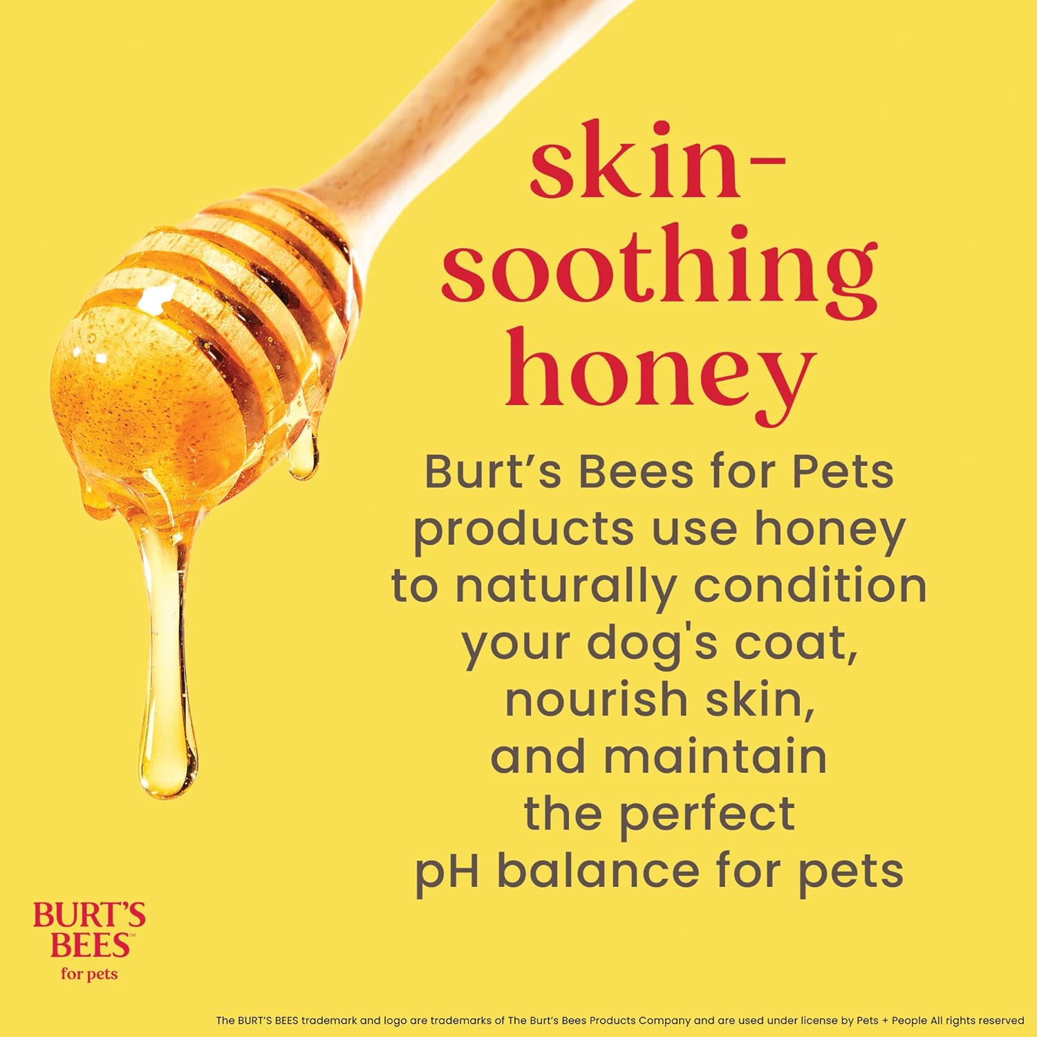 Honey Multipurpose Dog Grooming Wipes, Gentle Hypoallergenic Spot Cleaning Sheets, Ph Balanced Natural Origin Formula for Paws, Face and Butt, 50 Count - 3 Pack